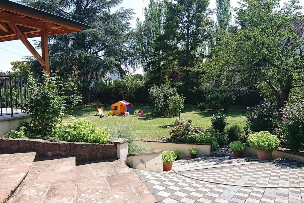 Appartamento Logement Entier: Route Des Vins.Wintzenheim Esterno foto