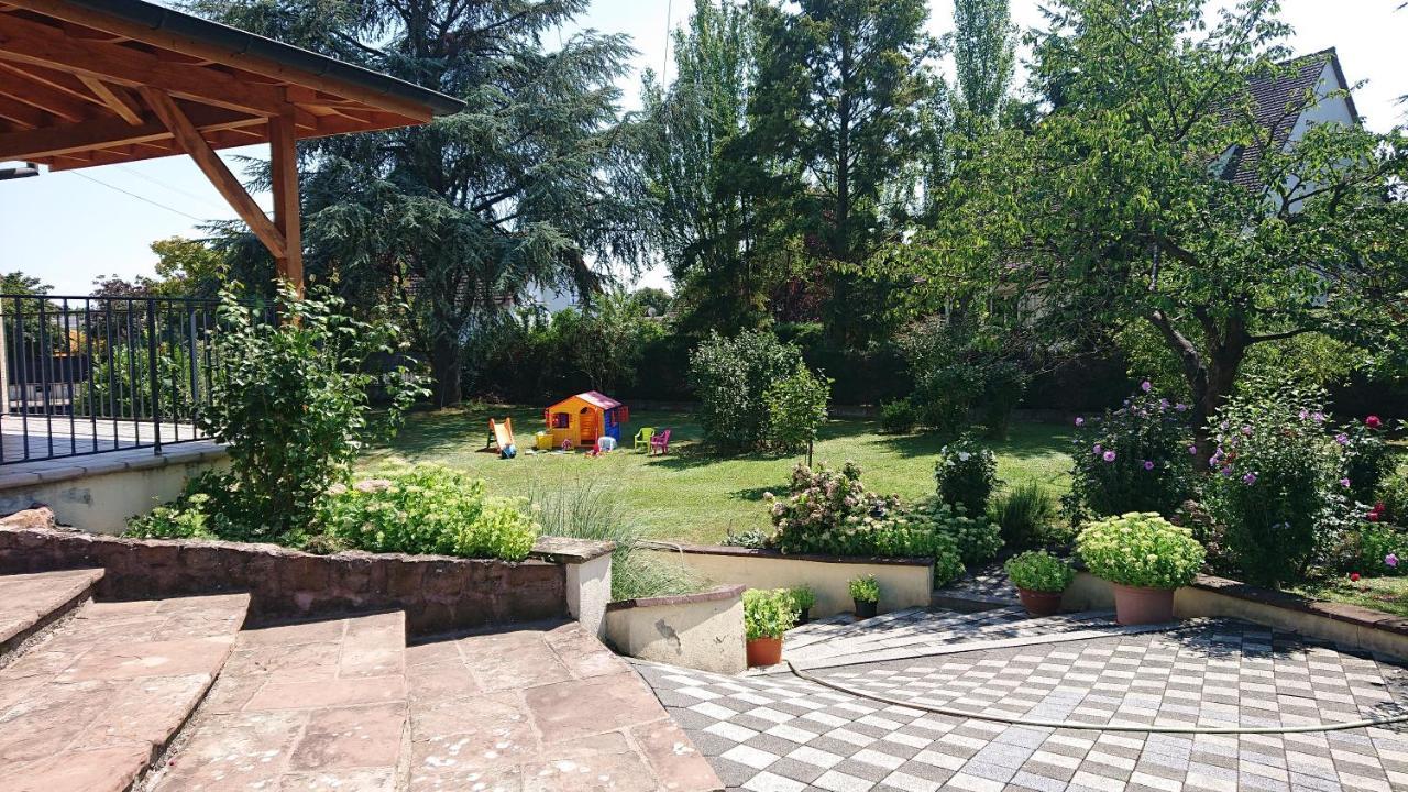 Appartamento Logement Entier: Route Des Vins.Wintzenheim Esterno foto