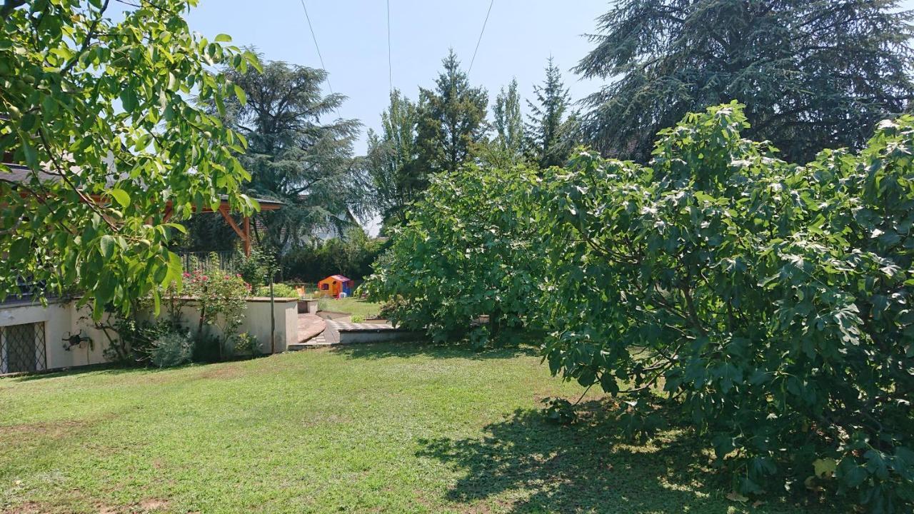 Appartamento Logement Entier: Route Des Vins.Wintzenheim Esterno foto